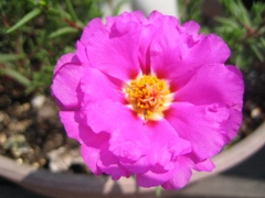0805OfM02.jpg