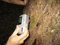 0805OfM32.jpg