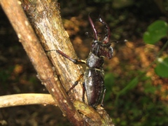 0805OfM43.jpg